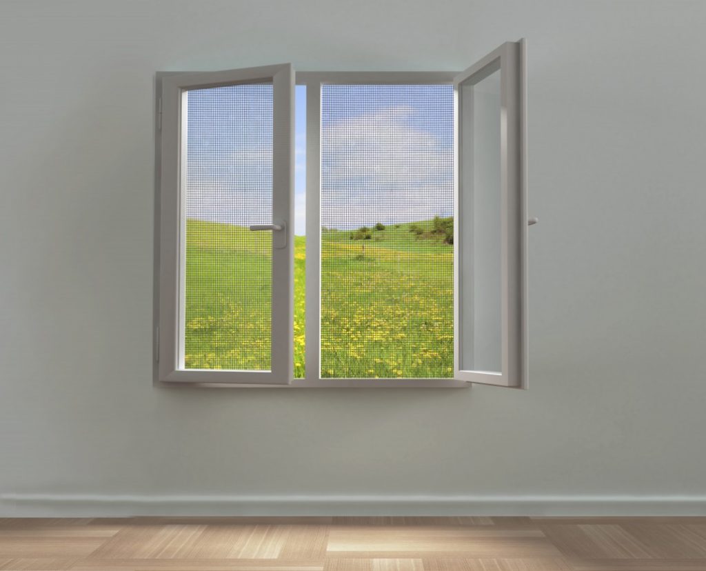 White-framed window with fly screen, showing grassy field and blue sky. Ideal for fly screen repair & replacement.