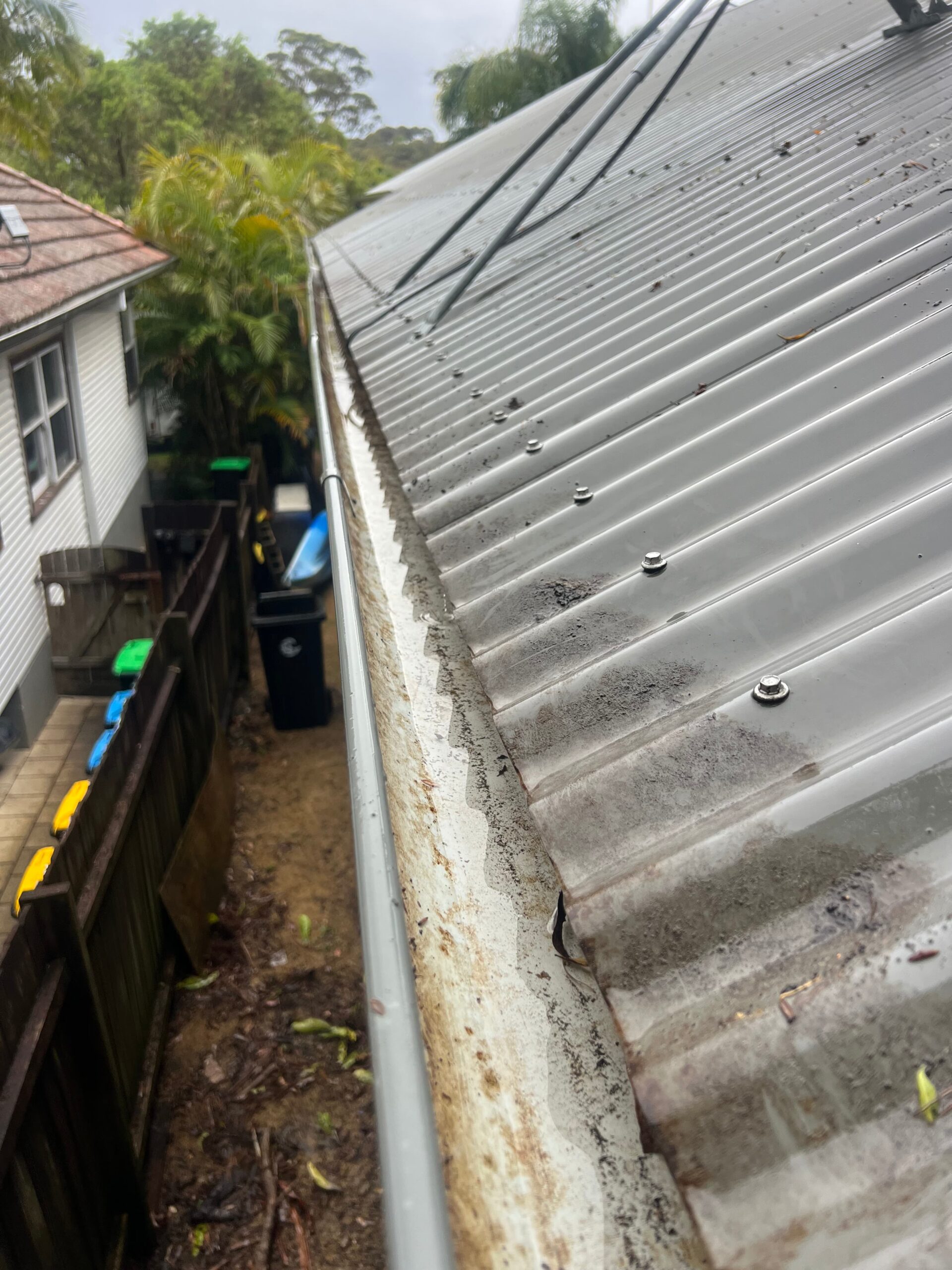 Close-up of metal roof and gutter with debris; backyard and trees in background. Main keyword: metal roof gutter.